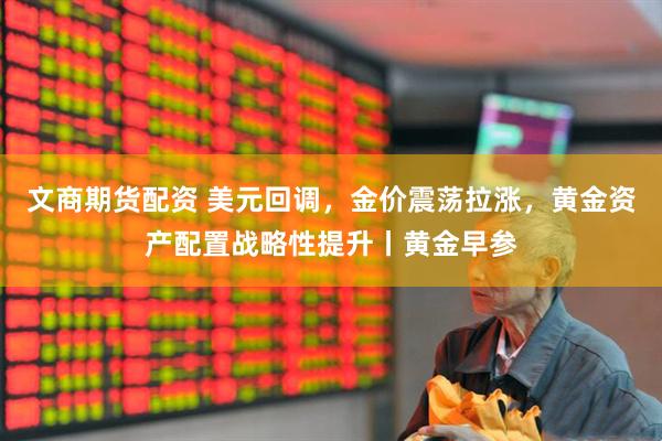 文商期货配资 美元回调，金价震荡拉涨，黄金资产配置战略性提升丨黄金早参