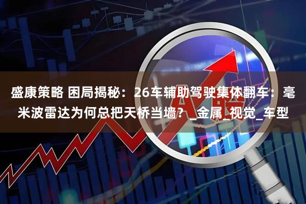 盛康策略 困局揭秘：26车辅助驾驶集体翻车：毫米波雷达为何总把天桥当墙？_金属_视觉_车型